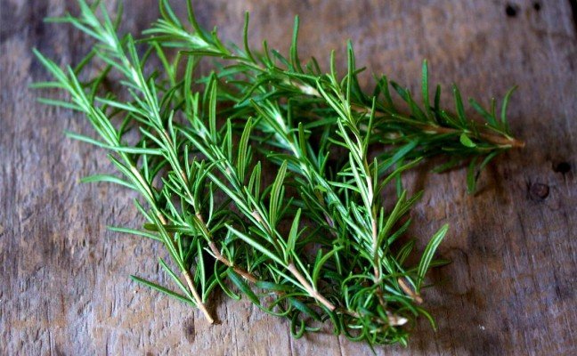 Health Benefits of Rosemary