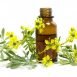 Health Benefits of Rue