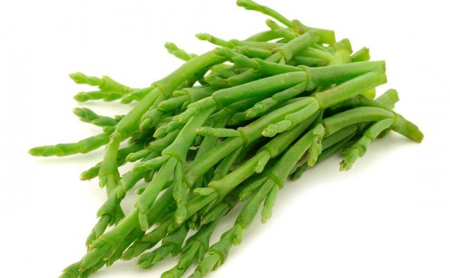 Health Benefits of Samphire