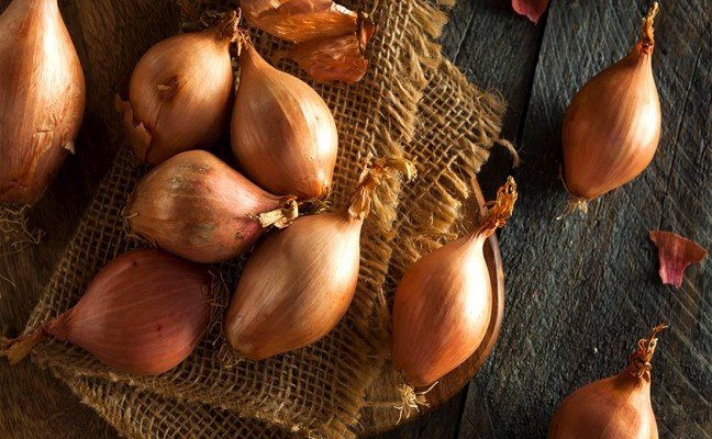 Health Benefits of Shallots