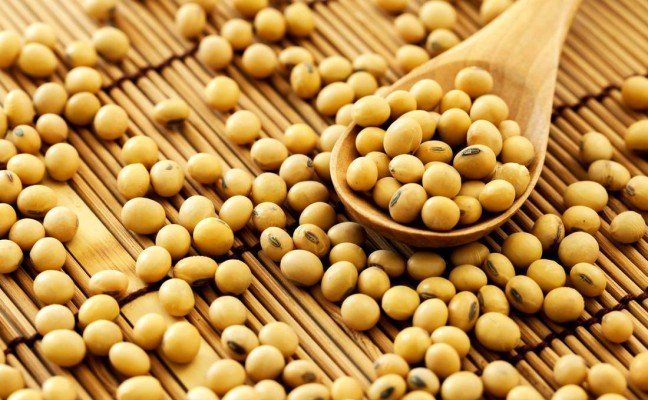 Health Benefits of Soybean