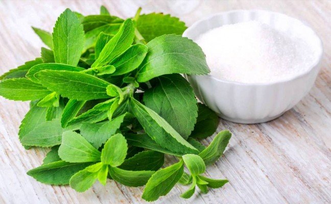 Health Benefits of Stevia Health Benefits of Stevia