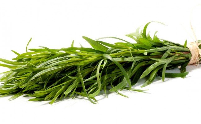 Health Benefits of Tarragon Health Benefits of Tarragon