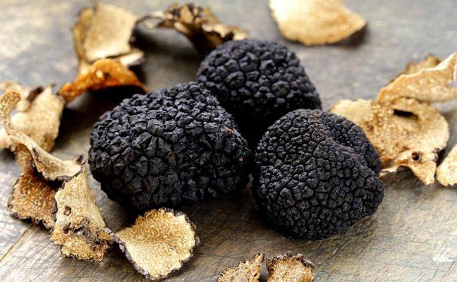 Health Benefits of Truffle