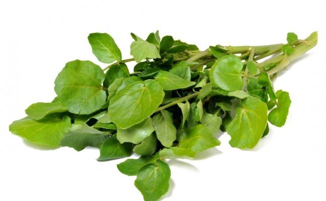 Health Benefits of Water Cress