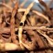 Health Benefits of Wattle seed