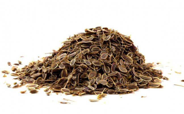 Herb Benefits of Dill Seed Herb Benefits of Dill Seed