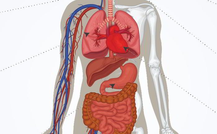 How does high blood pressure effect our body?