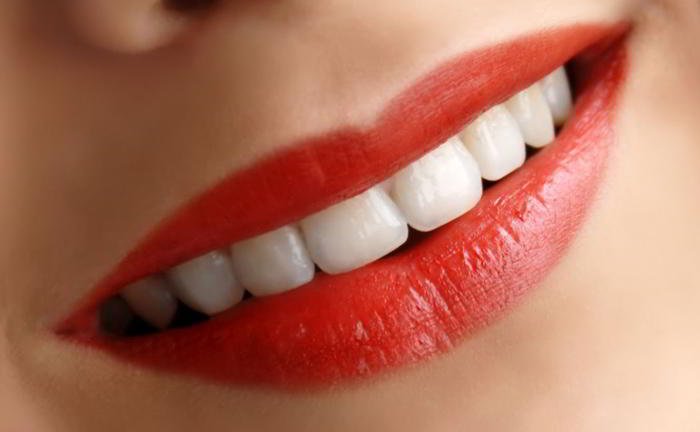 How many types of teeth do we have?
