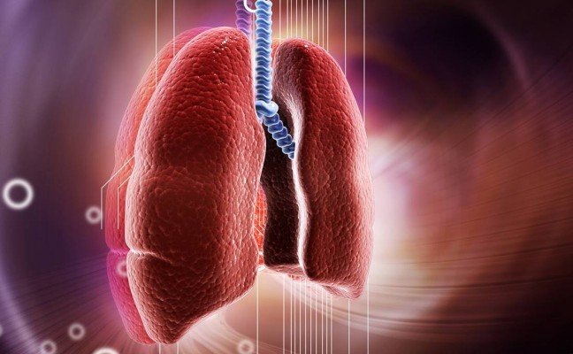 How to Cure Bronchitis at Home Naturally?
