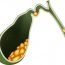 How to Cure Gall Bladder Disorders at Home Naturally?