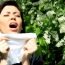 How to Cure Hay Fever at Home Naturally?