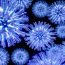 How to Cure Influenza at Home Naturally
