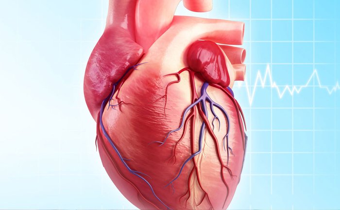 I smoke a lot as I have to work a lot. Can I have an heart attack?