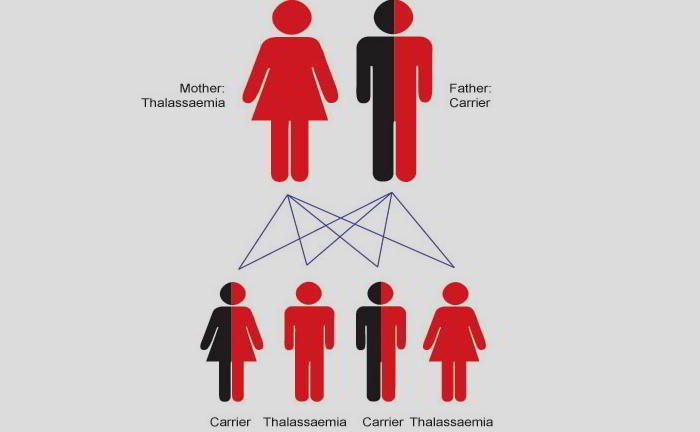 Is thalassaemia hereditary?