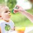 The Diet of the Growing Infant