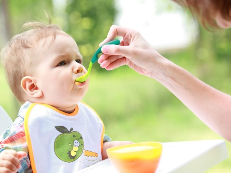 The Diet of the Growing Infant