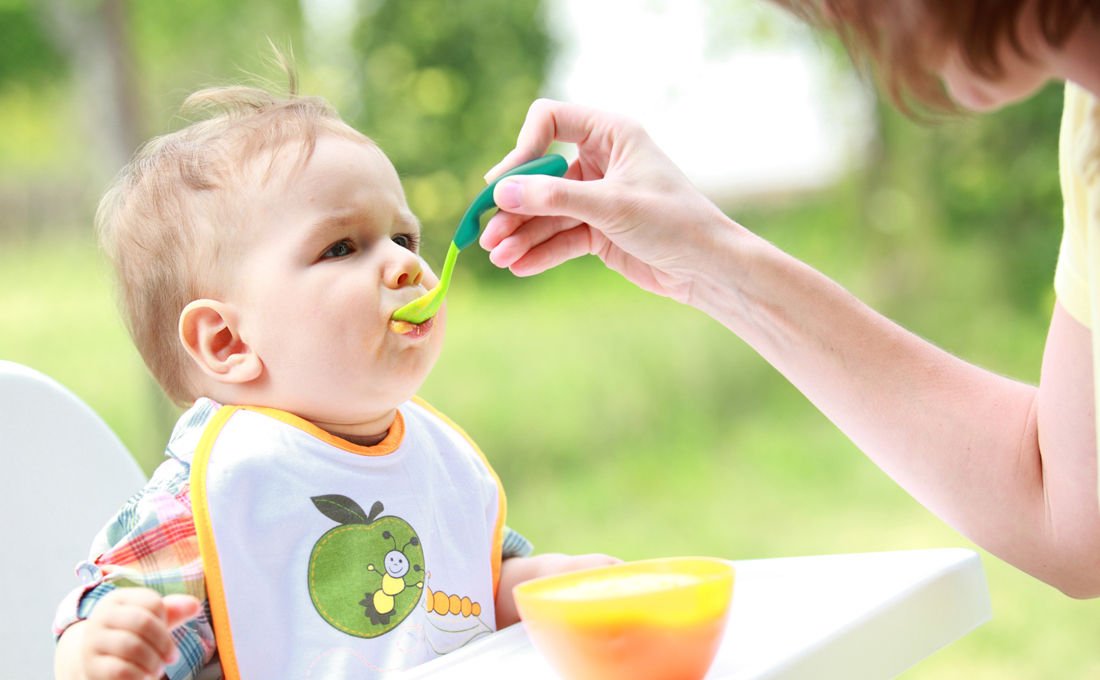 The Diet of the Growing Infant
