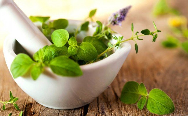 Unani Growing as a Popular Alternative Medicine