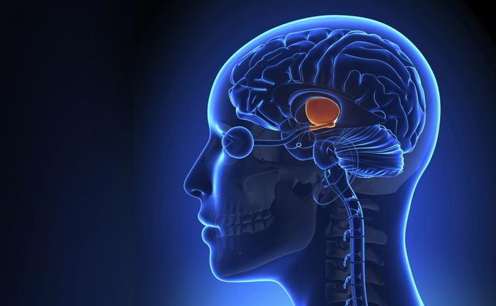 What does stroke affect the most?