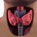 What is the importance of thyroid in our body?