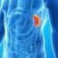 Where is the spleen in the body?