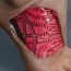Why does intermittent claudication take place?
