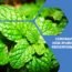 Coronavirus Update: How Ayurveda helps in prevention of COVID-19